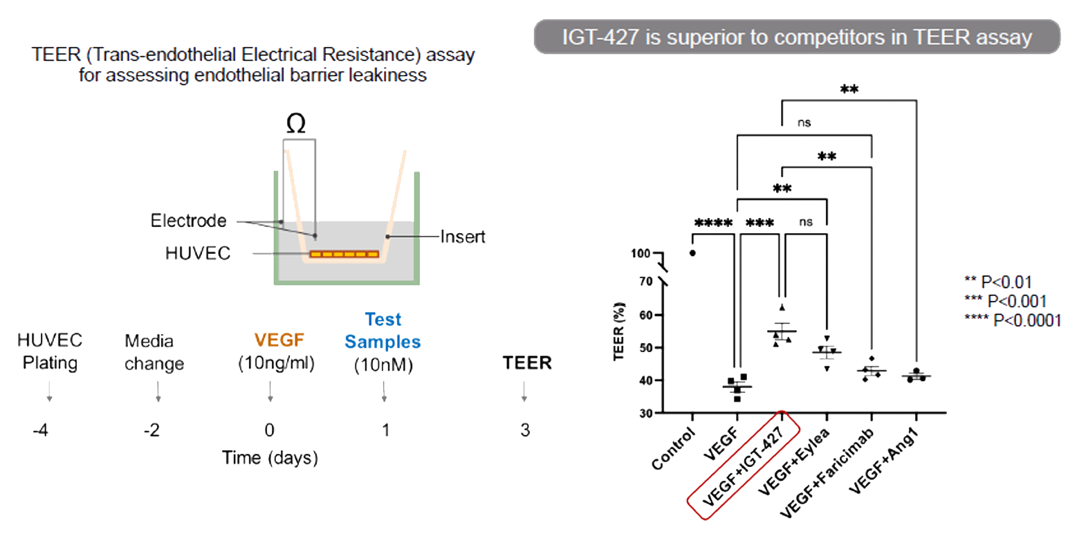 ingenia figure 4